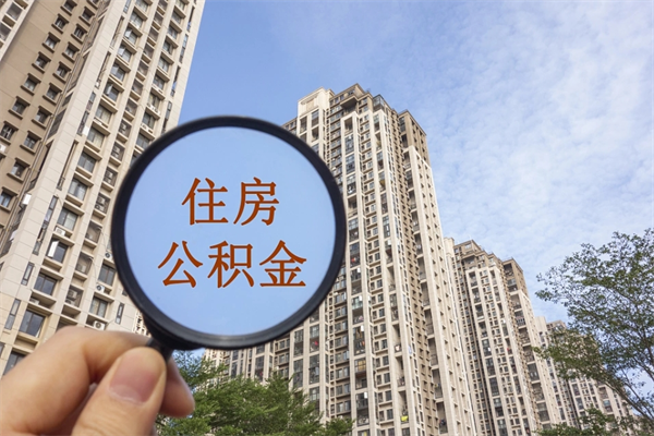 肇东公积金新政今起实施（肇东公积金新政出台）
